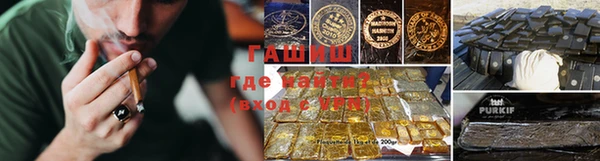 стаф Каменка