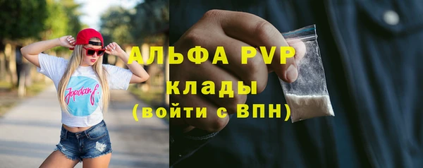 стаф Каменка
