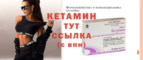 стаф Каменка