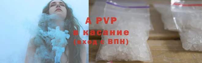 стаф Каменка