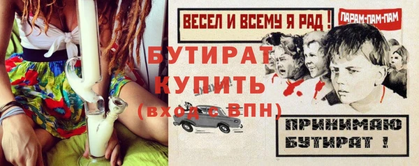 стаф Каменка
