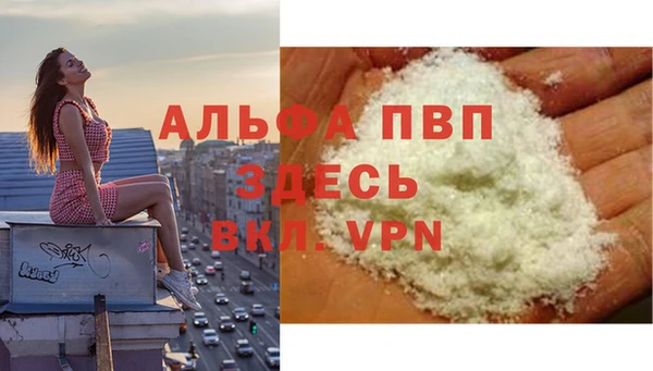 стаф Каменка